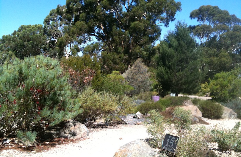 باغ گیاه شناسی ملی استرالیا (Australian National Botanic Gardens)
